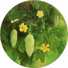 白玉苦瓜 直徑 90 cm 2014-大美無言藝術空間